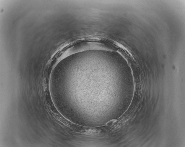 X0000087551160200705041320