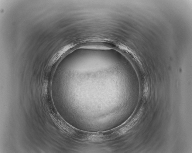 X0000087551161200705041320