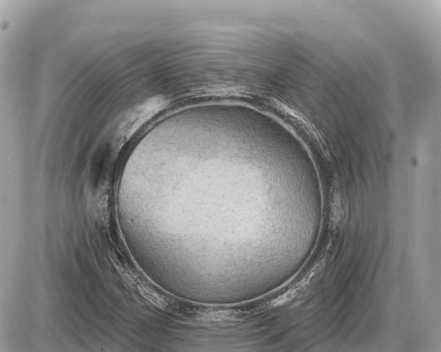 X0000087551162200705041320