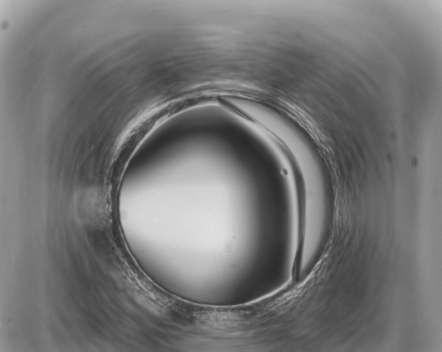 X0000087551164200705041320