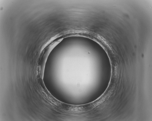 X0000087551165200705041320