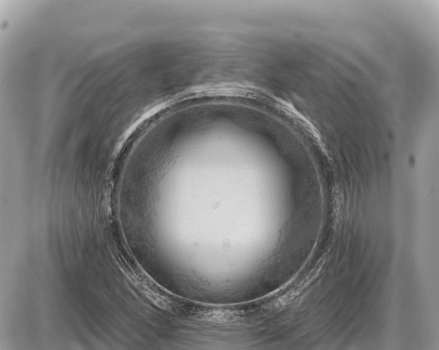 X0000087551166200705041320