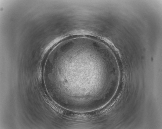 X0000087551167200705041320