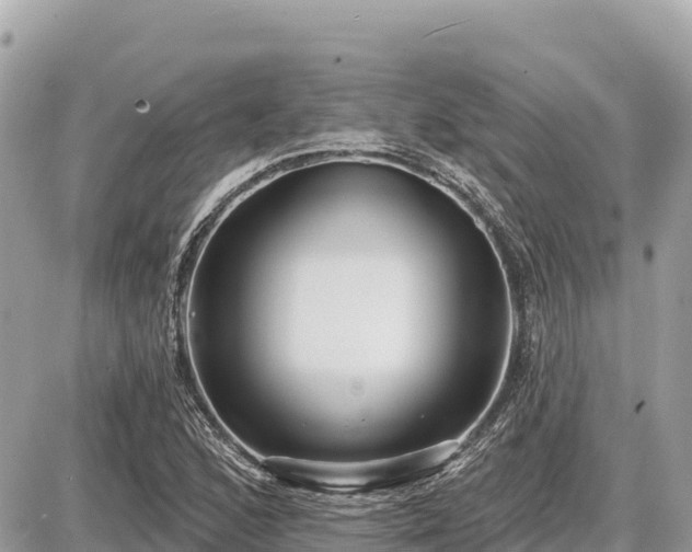 X0000087551168200705041320