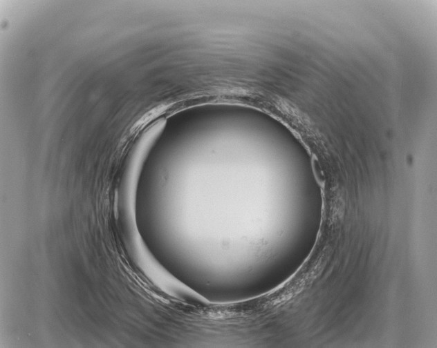 X0000087551169200705041320