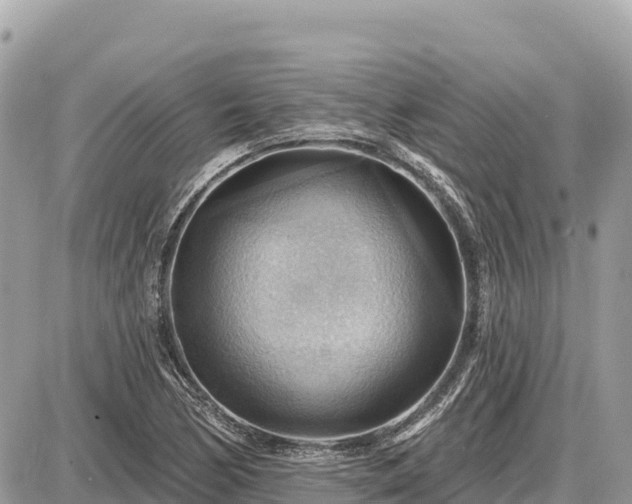 X0000087551170200705041320