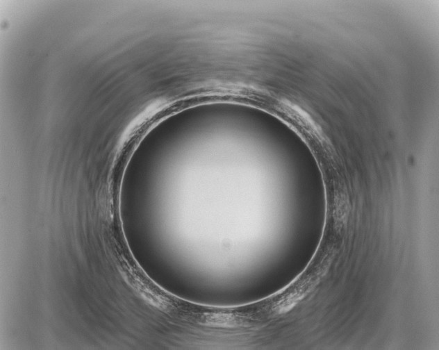 X0000087551172200705041320