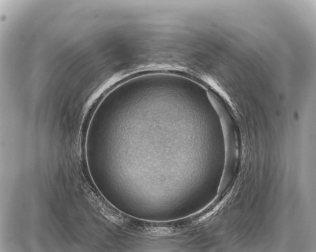 X0000087551173200705041320