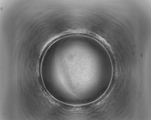 X0000087551174200705041320