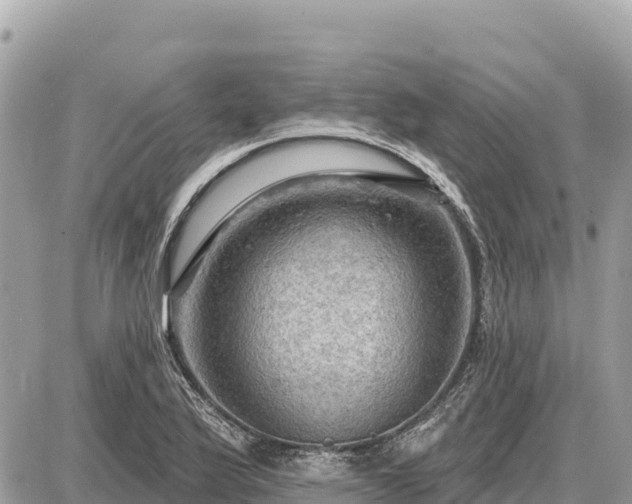 X0000087551175200705041320