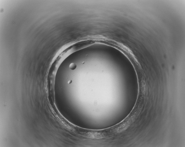 X0000087551176200705041320