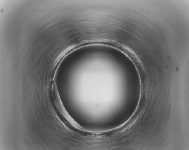 X0000087551177200705041320