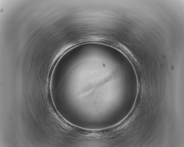 X0000087551178200705041320