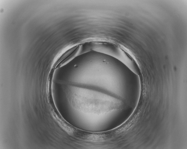 X0000087551179200705041320