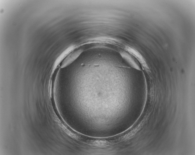 X0000087551180200705041320