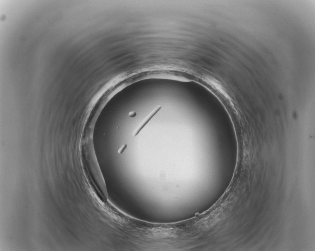 X0000087551181200705041320