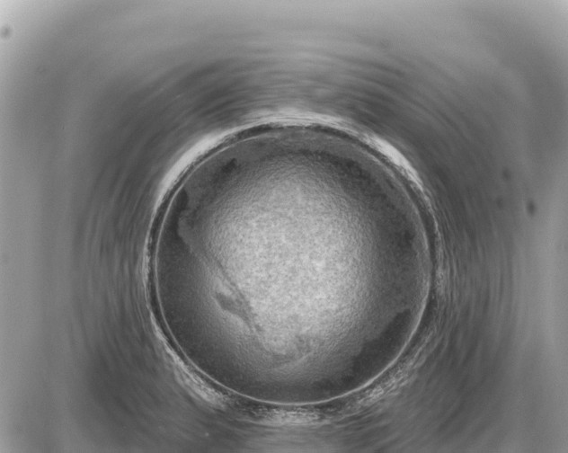 X0000087551183200705041320