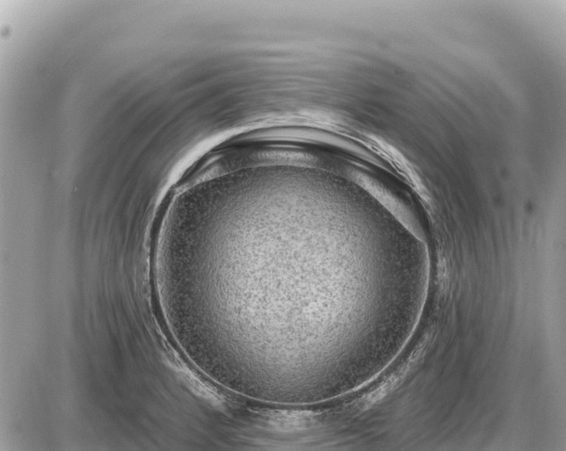 X0000087551184200705041320