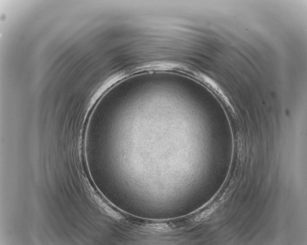 X0000087551186200705041320