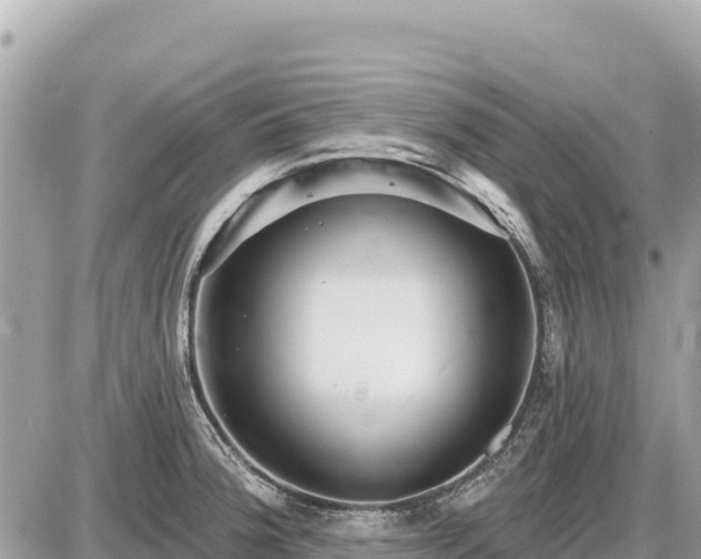 X0000087551188200705041320