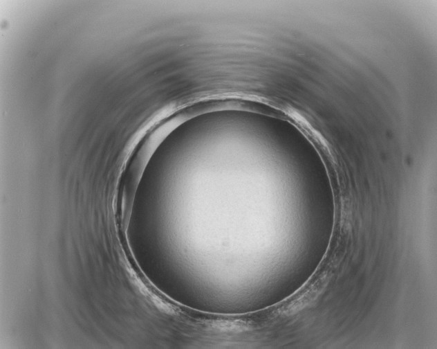 X0000087551189200705041320