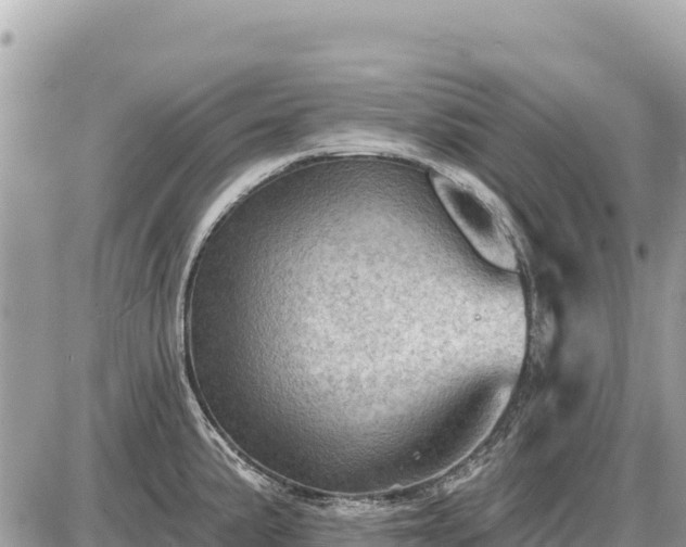 X0000087551191200705041320