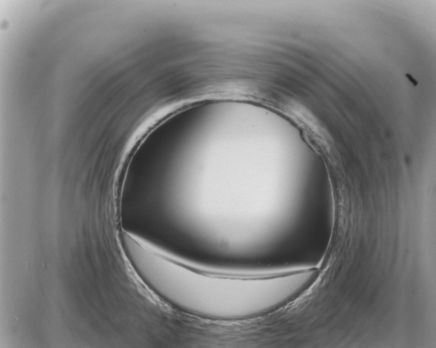 X0000087551192200705041320