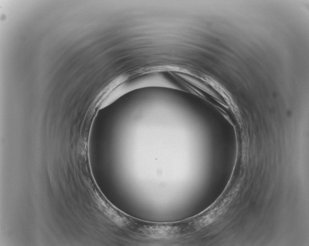 X0000087551193200705041320