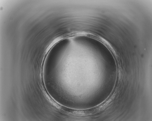 X0000087551194200705041320