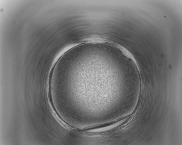 X0000087551195200705041320