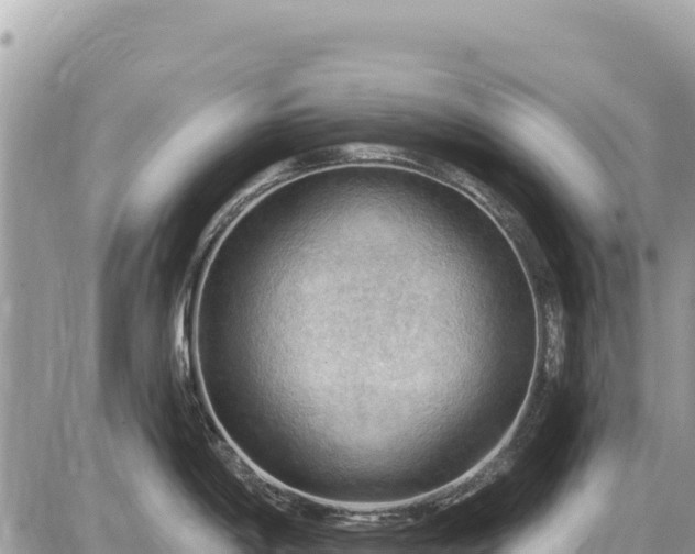 X0000087551198200705041320