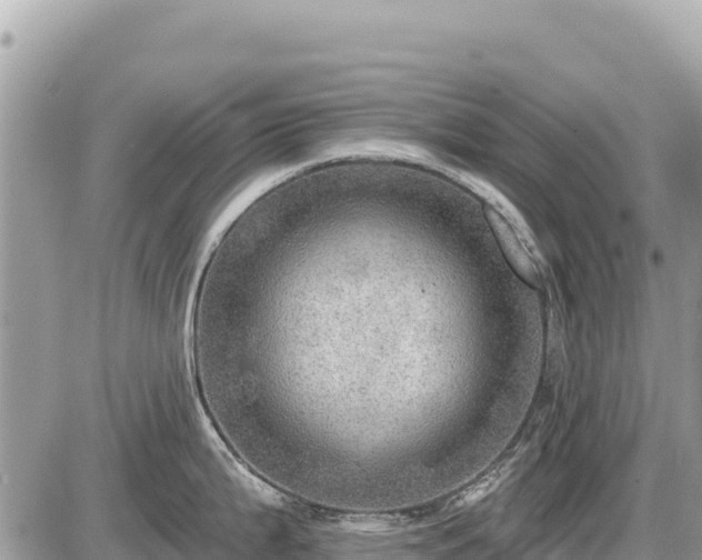 X0000087551199200705041320