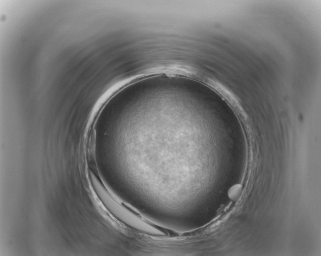 X0000087551200200705041320