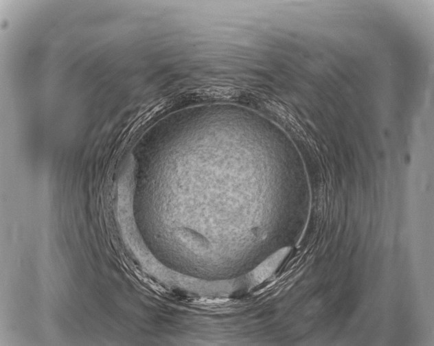 X0000087551201200705041319