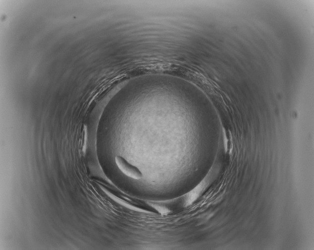 X0000087551202200705041319