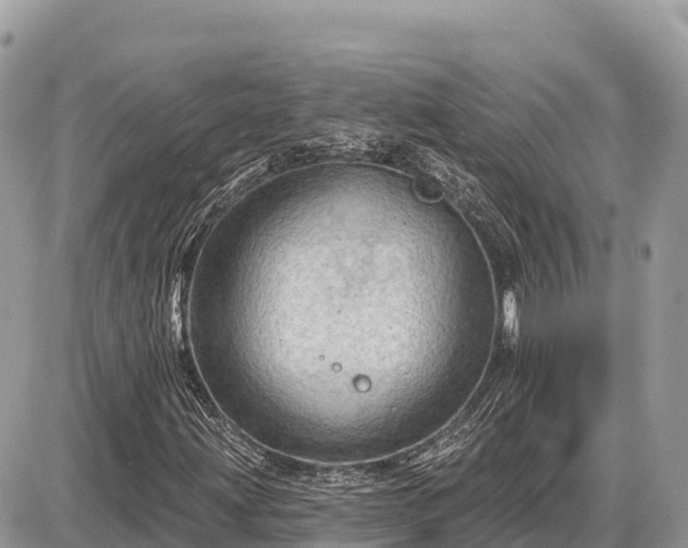 X0000087551203200705041319