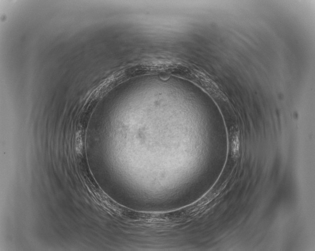 X0000087551204200705041319