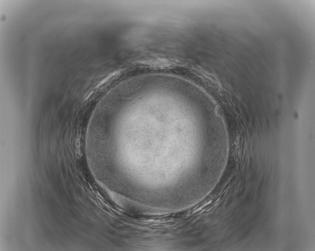 X0000087551205200705041319