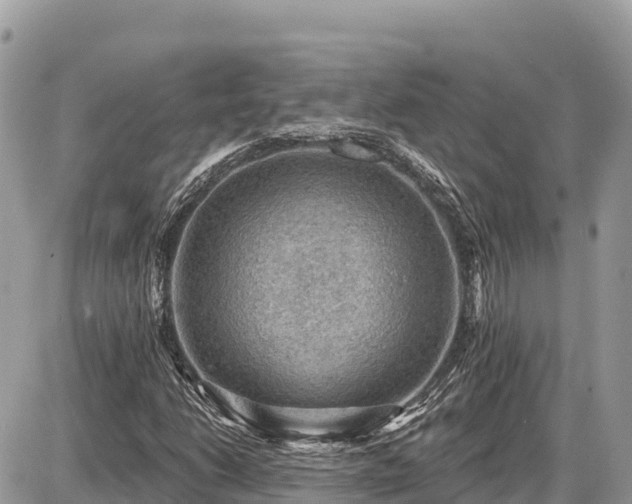 X0000087551206200705041319