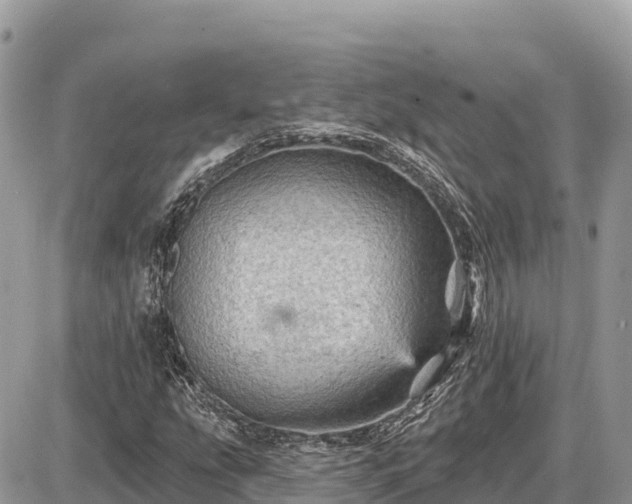 X0000087551207200705041319