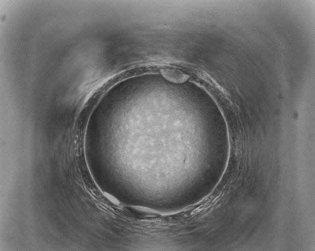 X0000087551208200705041319