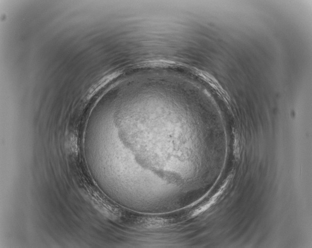 X0000087551209200705041319