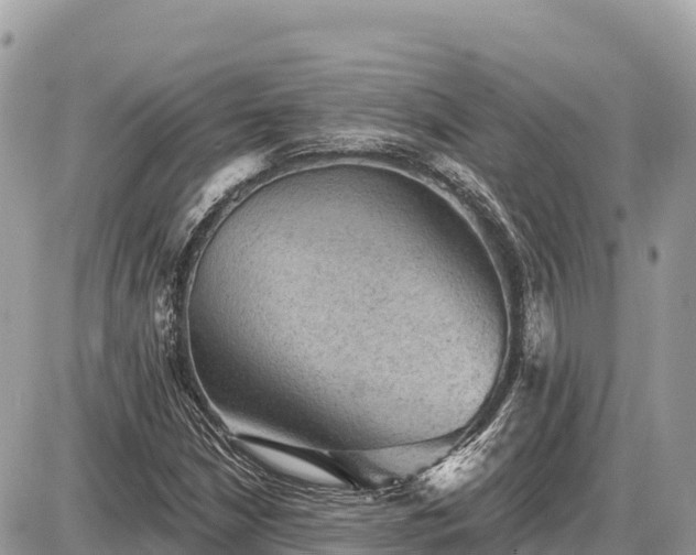 X0000087551210200705041319