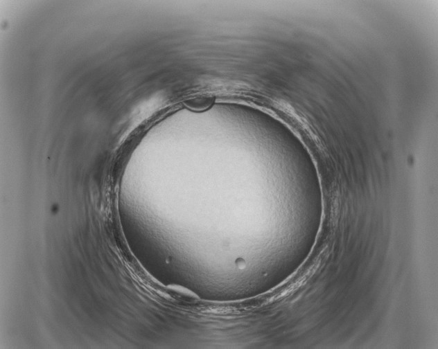 X0000087551211200705041319