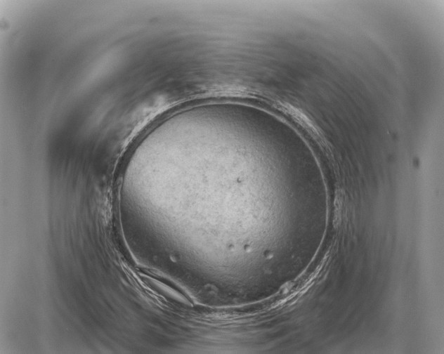 X0000087551212200705041319