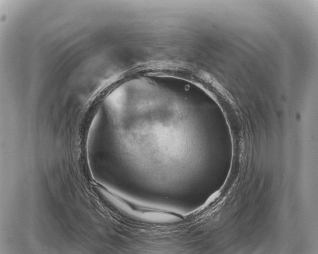 X0000087551213200705041319