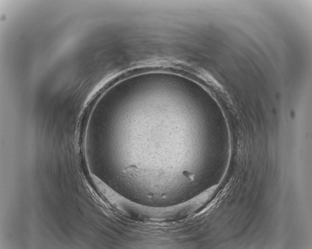 X0000087551216200705041319