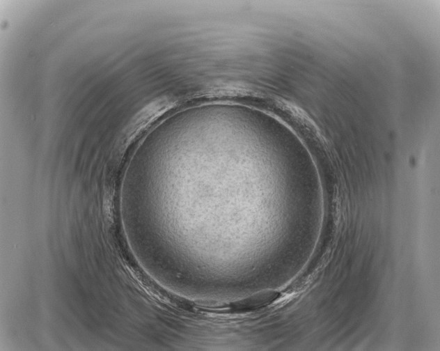 X0000087551217200705041319