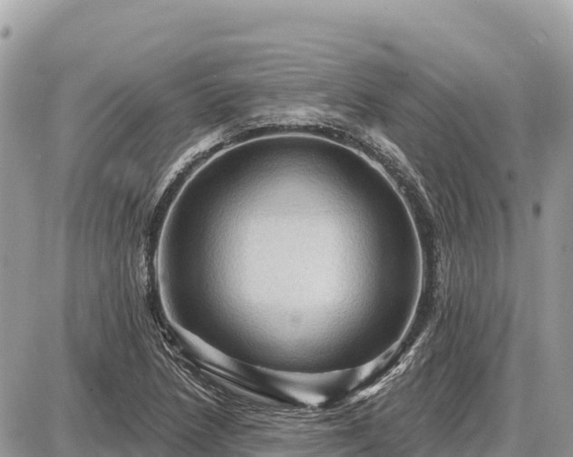 X0000087551218200705041319