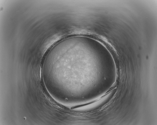 X0000087551221200705041319